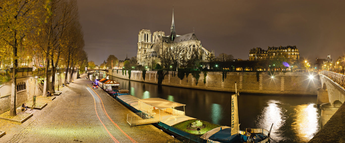 Notre-Dame-de-Paris depuis le pont de l'Archevéché de nuit.