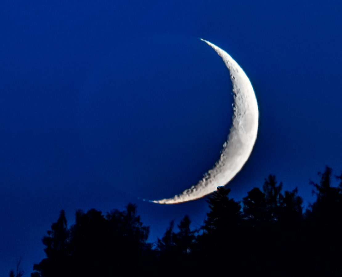 Coucher de croissant de lune derrière les sapins...