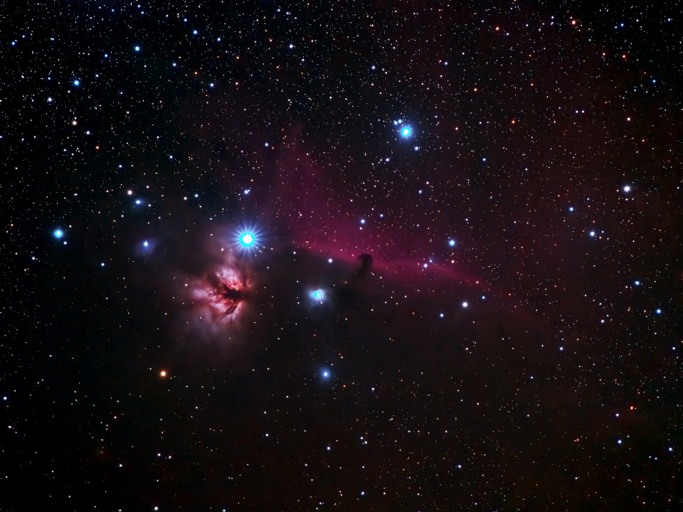 La nébuleuse de la tête de Cheval dans la constellation d'Orion - Barnard 33 - IC 434