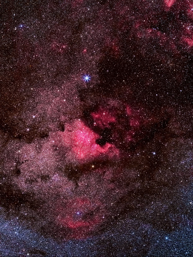 NGC 7000 dans la constellation du Cygne et Deneb