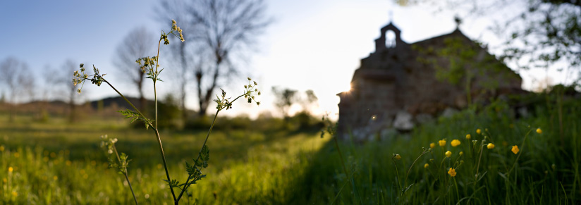 Fleurs devant la chapelle de Montbonnet