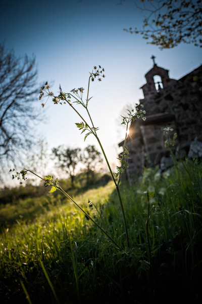 Lever de soleil sur la chapelle de MontBonnet