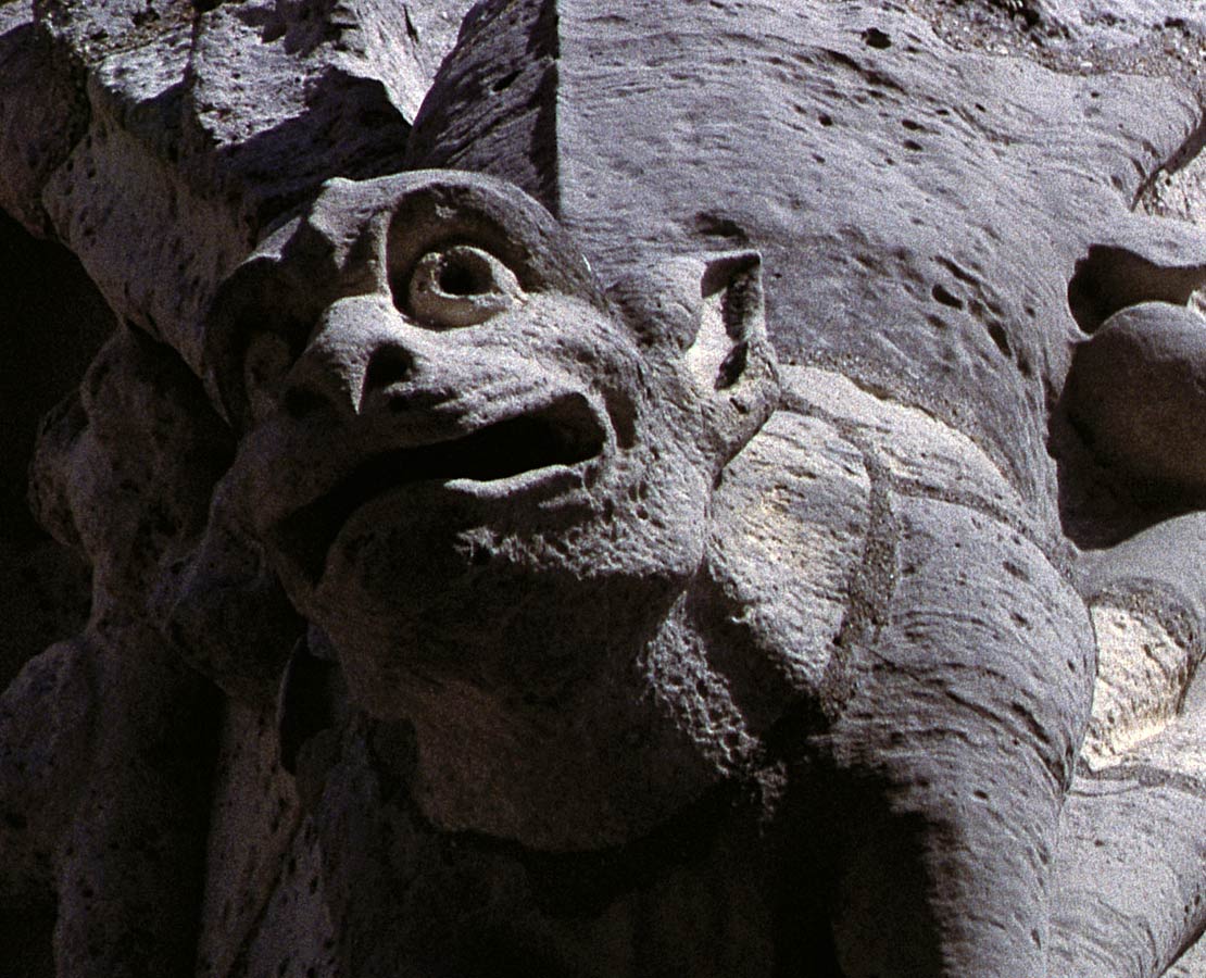 Gargouille de la tour nord de la cathédrale Notre-Dame de Paris