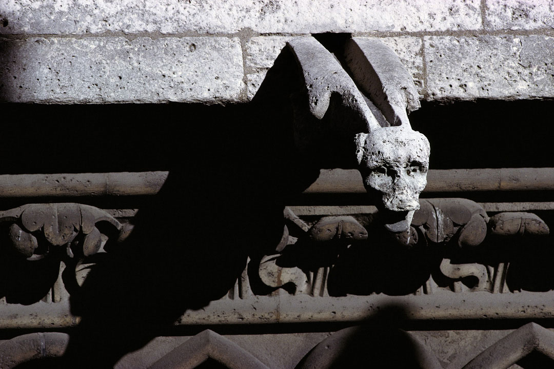 Gargouille de la cathédrale Notre-Dame de Paris 