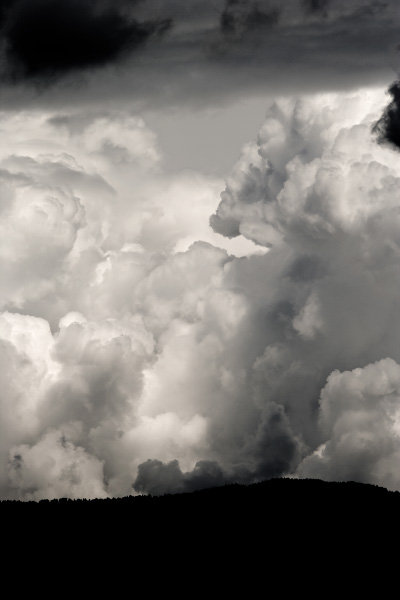 Cumulonimbus au dessus des sapins