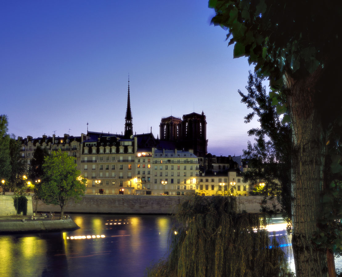 La cathédrale Notre-Dame de Paris et sa flèche sur l'île de la Cité