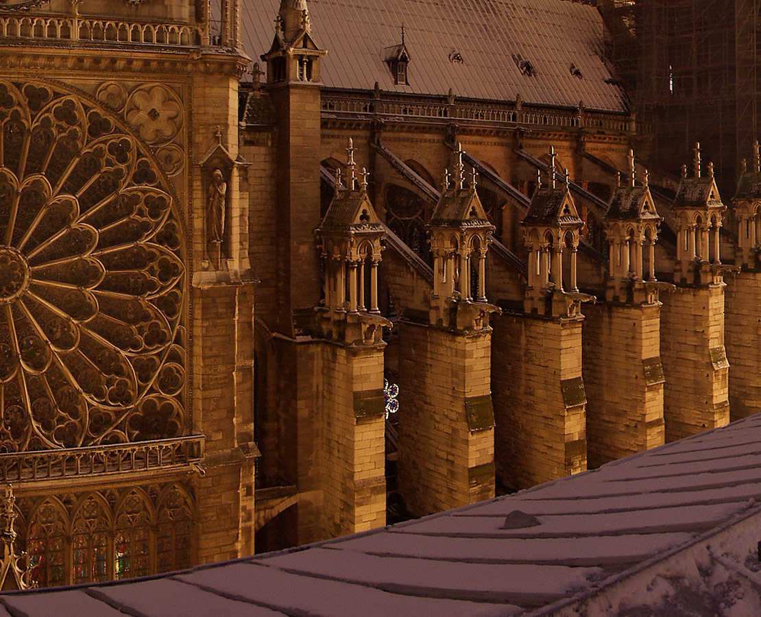 Détail de Paris et la cathédrale Notre-Dame sous la neige