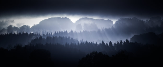 Brumes matinales dans les sapins du Livradois-Forez