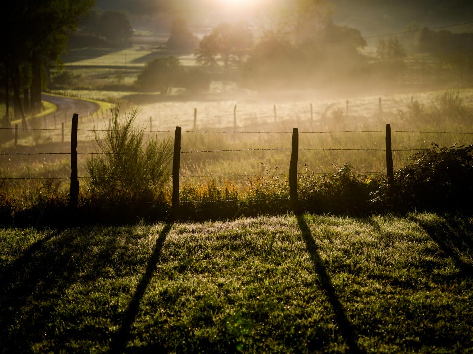 Rosée du matin au lever du soleil à la campagne