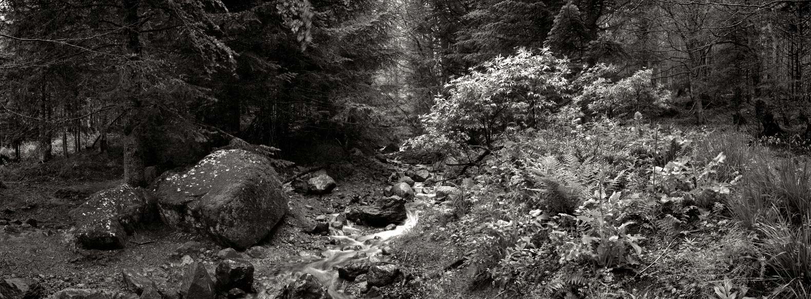 Ruisseau près du Mont-Dore