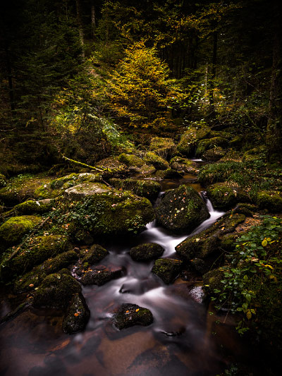 Le Couzon coule dans la vallée des Darots