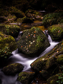 Rocher de la vallée des Darots près de Vollore-Montagne