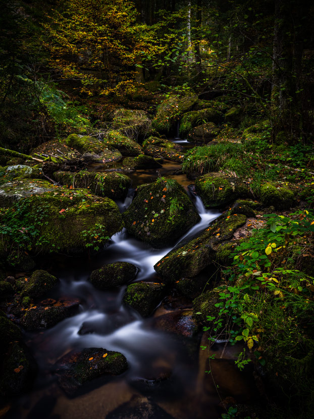 Petites cascades du Couzon de la Vallée des Darots