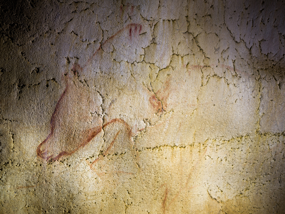 L'ours aux cactus de la grotte Chauvet